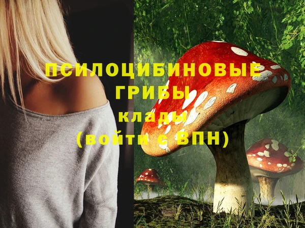 наркотики Богородицк