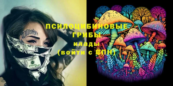 mdma Богданович
