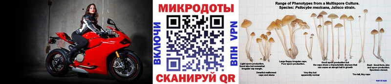 Галлюциногенные грибы Psilocybe Купить Черногорск